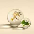 Orange & Bergamot Eau de Parfum 100ml thumbnail