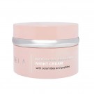 Radiance Recovery NIGHT Cream thumbnail